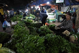 Extreme weather drives vegetable prices higher in Hà Nội as supplies tighten