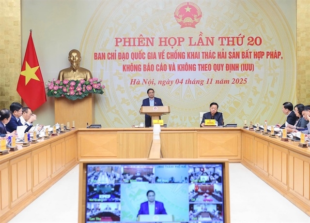 Việt Nam races to shed EU ‘yellow card’ as crackdown on illegal fishing intensifies