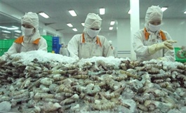 Việt Nam earns $1.1 billion from shrimp exports to China
