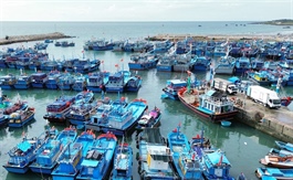 Việt Nam takes action to remove EU yellow card