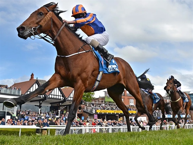 Cuộc đua lợi nhuận VN30 quý 3: VHM giữ ngôi đầu, HPG bất ngờ soán ngôi GAS