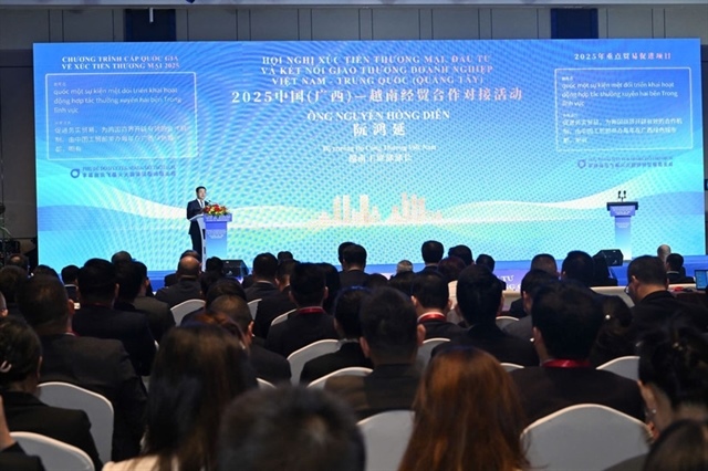 Việt , Guangxi (China) expand trade promotion, business ties