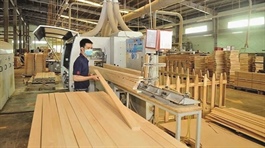 Vietnamese industries aim to meet higher environmental standards