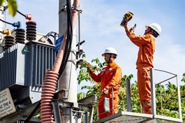 VN supports a fair, efficient domestic energy market
