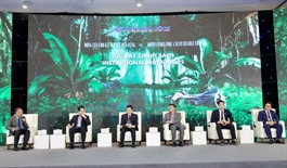 Experts weigh in on Vietnam’s sustainability progress and future priorities
