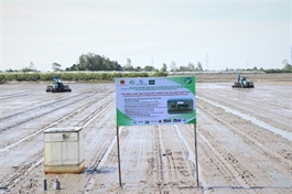 Việt Nam seeks World Bank green credit to boost low-emission rice production