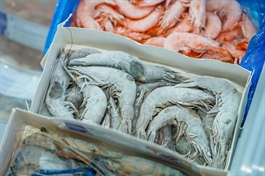 Seaprimexco tạm ứng cổ tức 15%, lên kế hoạch tăng vốn lần đầu sau hơn 1 thập kỷ