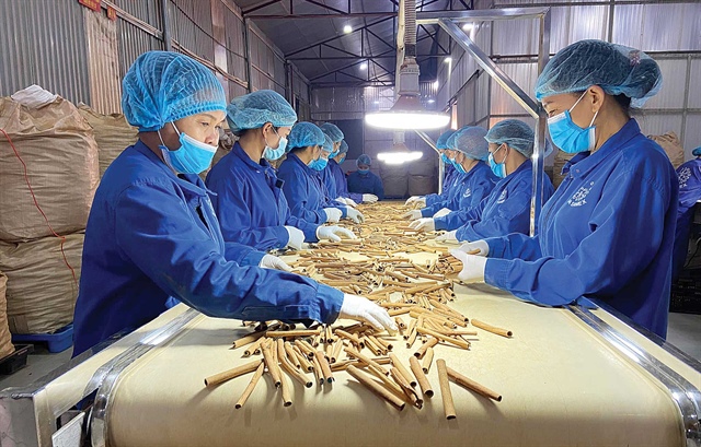 VHE chào bán riêng lẻ giá gấp đôi thị trường, nhà đầu tư chiến lược mới thành lập xin mua nhiều nhất | Vietstock