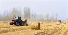 Cách Trung Quốc kiếm tiền từ rơm rạ: Nông dân chở rác đổi tiền mặt mỗi ngày