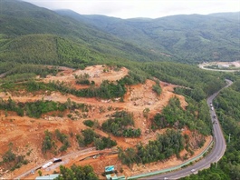 Ai mua 30 triệu cổ phiếu riêng lẻ của đơn vị phát triển dự án Greenhill Village từng liên quan bà Trương Mỹ Lan?