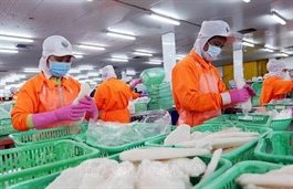 Xuất khẩu nông, lâm, thủy sản 11 tháng đạt trên 64 tỷ USD, vượt kỷ lục năm 2024