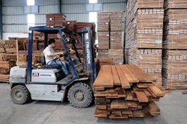 PTB sắp chào bán hơn 13 triệu cp chưa đến 1/4 thị giá 