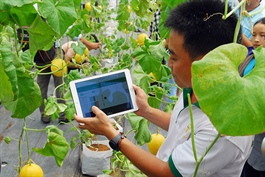 Digital platforms to help Vietnamese cooperatives access European market
