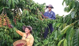 The march to productivity and environmental sustainability