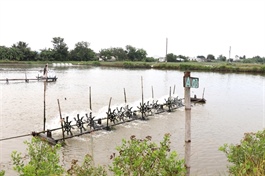 Vĩnh Long seeks investment in 10 farming, rural development projects