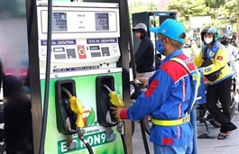 Clear technical standards imperative before making petrol-ethanol fuel mandatory: experts
