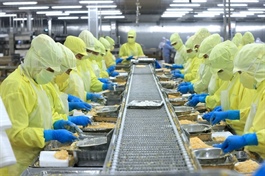 VIFTA opens room to boost trade, investment between Việt Nam and Israel