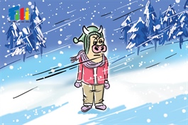 Góc nhìn tuần 08-12/12: Ưu tiên quản trị rủi ro