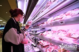 Buộc tiêu huỷ 1,23 triệu con lợn, Tết Nguyên đán giá thịt lợn có thể tăng mạnh