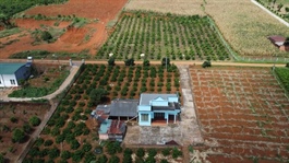 Bộ Tài chính đề xuất giảm 70% tiền chuyển từ đất nông nghiệp sang đất ở