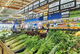 Fuel price adjustments, food supply disruptions push November CPI