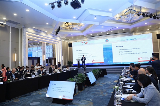 Vietnam steps up green transformation with strong policies and rising investment demand