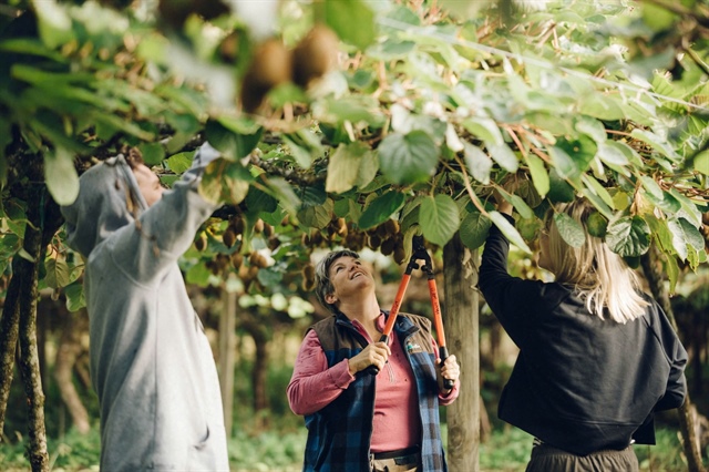 Foreign fruits flood Vietnamese market