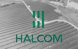 HID nói gì về việc cổ phiếu tăng trần liên tiếp?