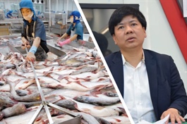 Thêm loạt công ty bị hủy đại chúng, gọi tên “vua cá tra” một thời và doanh nghiệp của Shark Thủy