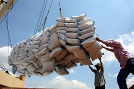 Senegal suspends rice imports for one month