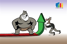 Nhịp đập Thị trường 12/12: Sắc đỏ bao phủ