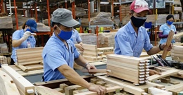 Doanh nghiệp gỗ lúng túng khi doanh thu đạt ngàn tỷ, đổ tiền vào chuyển đổi số