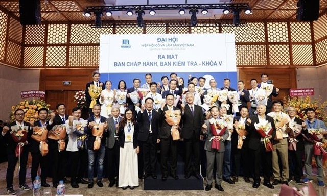 Việt Nam's wood industry targets $25 billion in exports by 2030