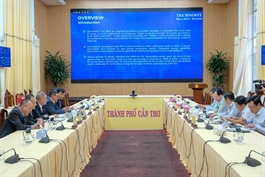 Malaysia firm discusses rice-husk power investment with Cần Thơ authorities