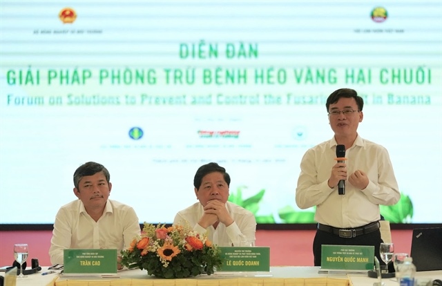 Việt Nam targets $1 billion in banana exports