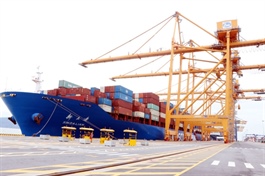 Hải Phòng Port reaches 2-million-TEU milestone