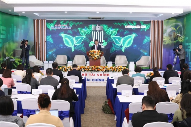 VIR workshop highlights capital and policy for sustainable development