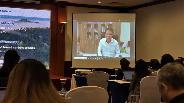 Việt Nam's forest credits gain investor interest
