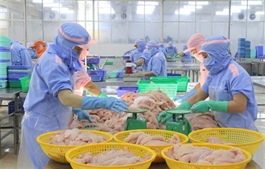 Việt Nam's pangasius exports surpass $2 billion