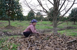 Việt Nam cuts policy lending rates for typhoon-hit provinces