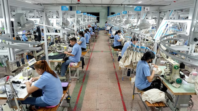 TCM lãi tháng 11 nhích nhẹ, chốt quyền cổ tức tiền mặt 5% 