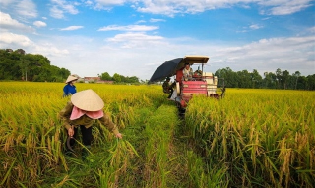 ADB, BIDV support Việt Nam’s green agriculture with $250 million financing package