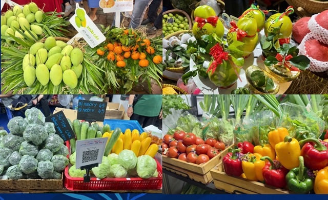 Regional agricultural fair connects farmers with urban consumers in HCM City