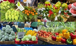 Regional agricultural fair connects farmers with urban consumers in HCM City