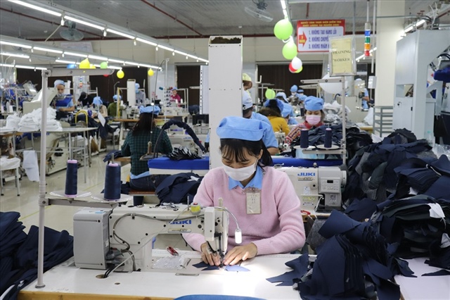 Hòa Thọ ước đạt kỷ lục lợi nhuận năm 2025, lần đầu chạm mốc 400 tỷ