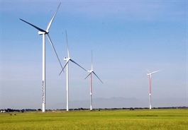 Green transition emerges as new engine of growth