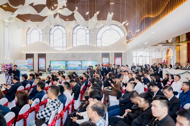 Three-way partnership unveiled to ease financing at Hong Hac City