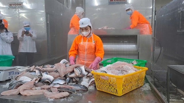 Các hoạt động chế biến thủy sản đã chính thức được xác nhận hưởng ưu đãi miễn thuế Thu nhập doanh nghiệp (TNDN) theo Nghị định 320. Ảnh minh họa: THU HÀ