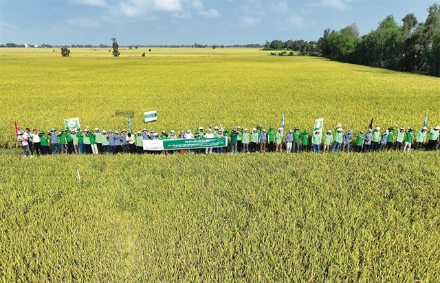 The PAN Group shaping a better future with ESG strategy