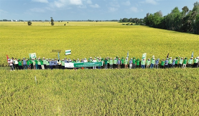 The PAN Group shaping a better future with ESG strategy